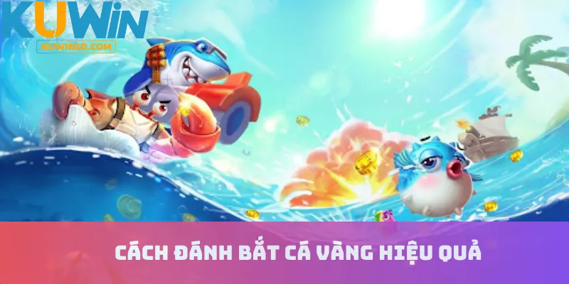 Cách đánh bắt cá vàng hiệu quả