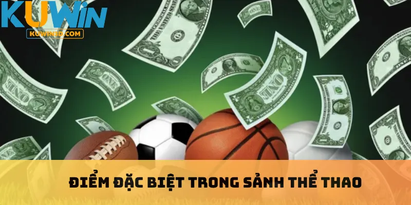 Điểm đặc biệt trong sảnh thể thao