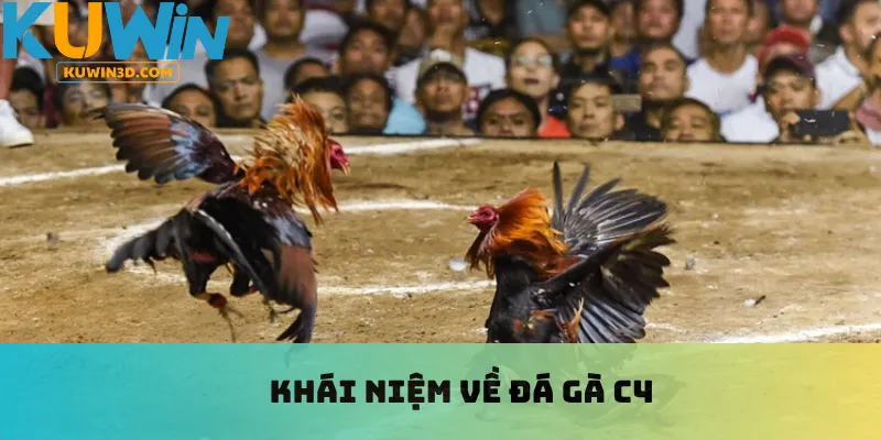 Khái niệm về đá gà C4