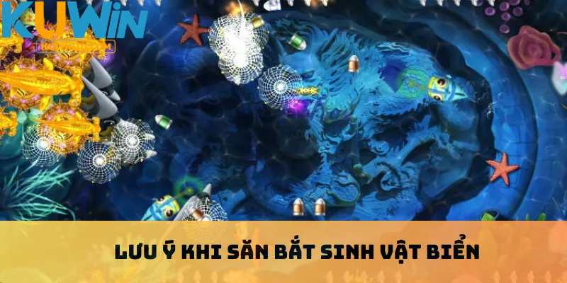 Lưu ý khi săn bắt sinh vật biển