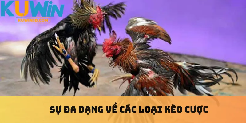 Sự đa dạng về các loại kèo cược